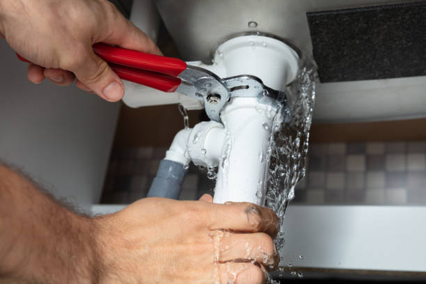 Best Water damage repair service  in Ellenton, FL