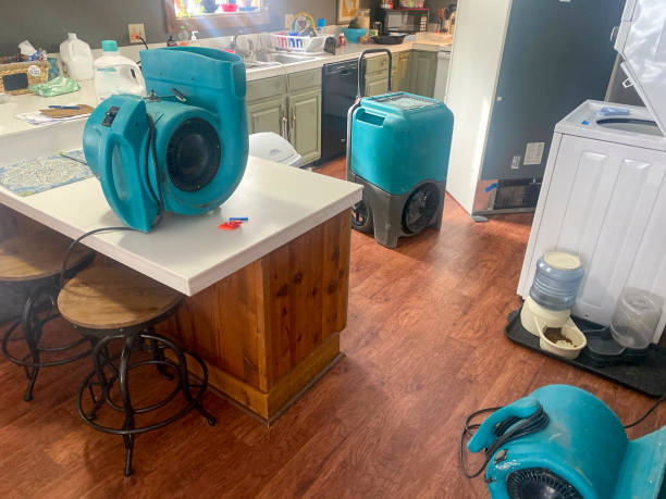 Best Emergency water damage restoration  in Ellenton, FL