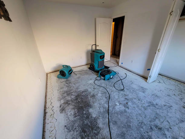 Best Water damage mitigation services  in Ellenton, FL