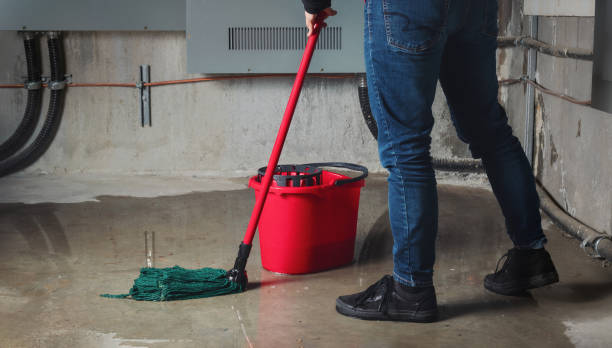 Best Water damage mitigation services  in Ellenton, FL