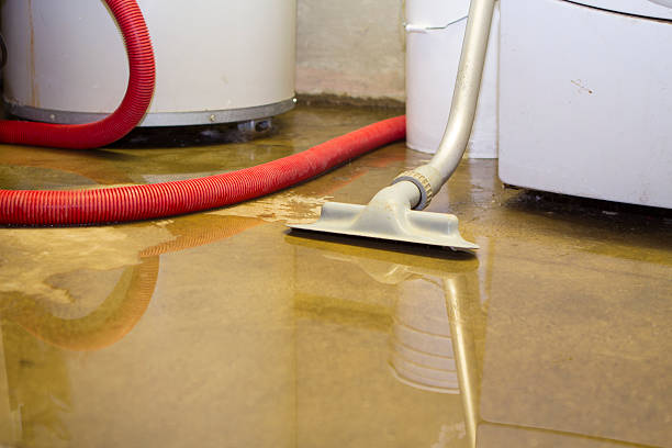 Best Residential water damage restoration  in Ellenton, FL