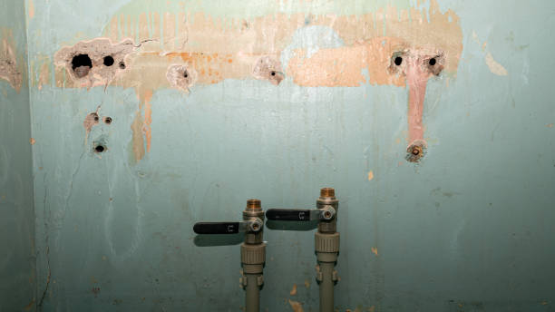 Best Commercial water damage restoration  in Ellenton, FL