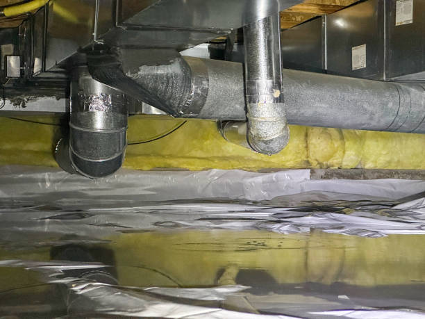 Best Flood damage cleanup  in Ellenton, FL