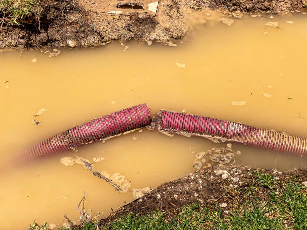 Best 24-hour water damage restoration  in Ellenton, FL