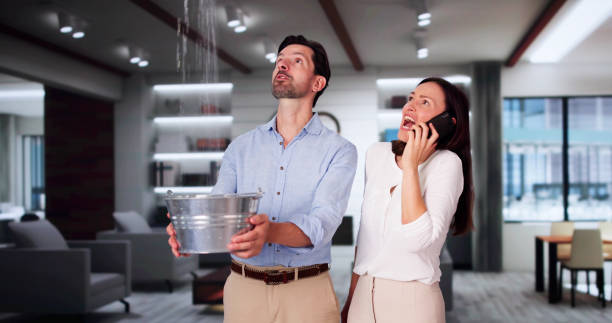 Best Mold removal after water damage  in Ellenton, FL