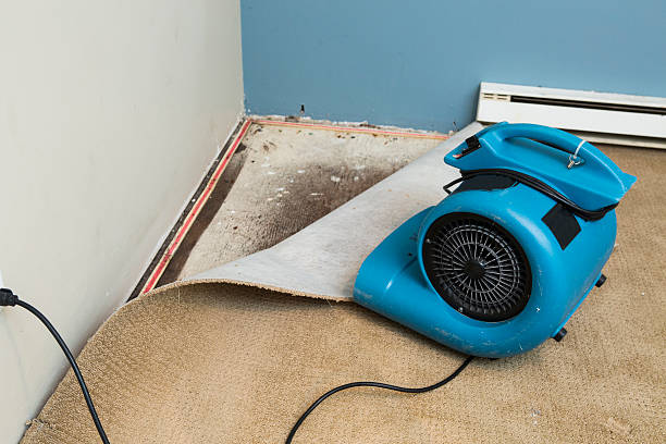 Best Water damage restoration insurance claims  in Ellenton, FL