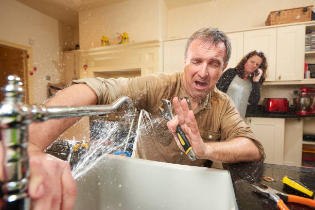 Best Professional water damage repair  in Ellenton, FL